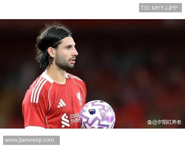 索博斯洛伊的历史与文化探秘：一座城市的灵魂与传承