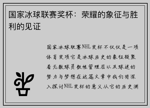 国家冰球联赛奖杯：荣耀的象征与胜利的见证