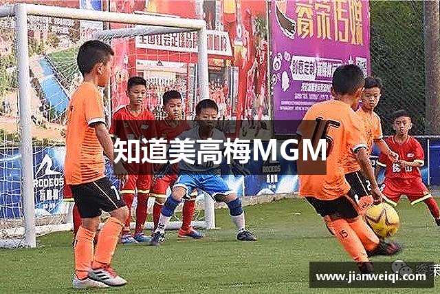 知道美高梅MGM